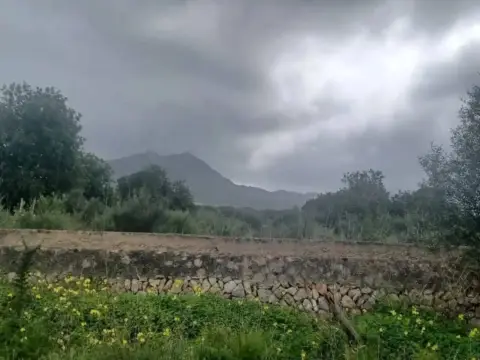 Terreno en Felanitx