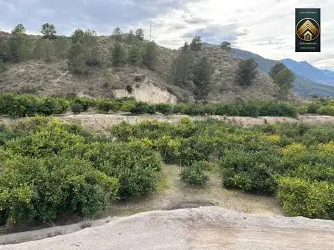 Terreno en Blanca