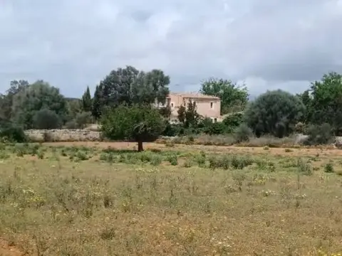 Terreno en Felanitx