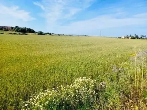 Terreno en Manacor