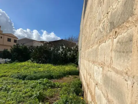 Terreno en Manacor
