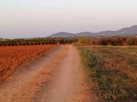Terreno en Manacor