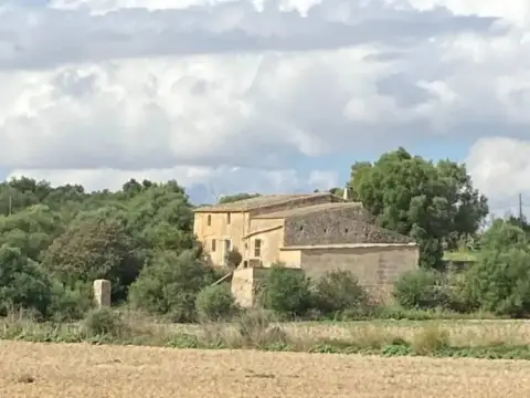 Terreno en Manacor