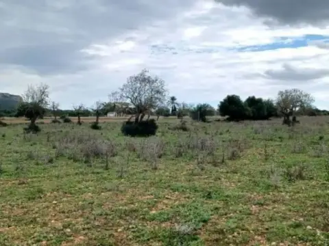 Terreno en Felanitx