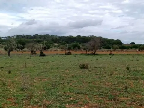 Terreno en Felanitx