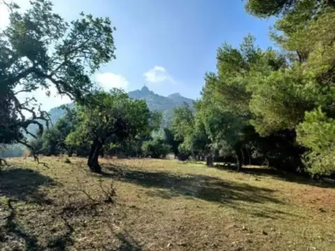 Terreno en Felanitx