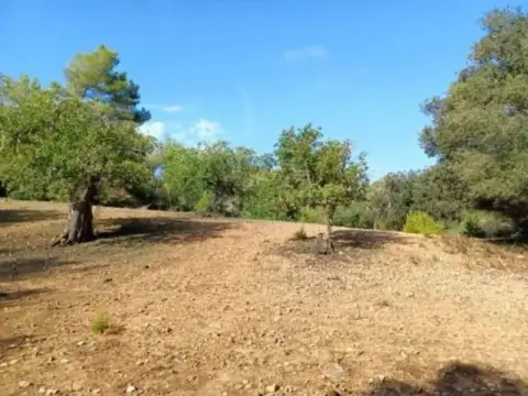 Terreno en Felanitx
