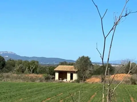 Terreno en Felanitx