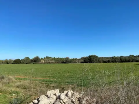 Terreno en Felanitx