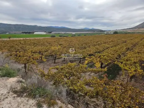Terreno en La Romana
