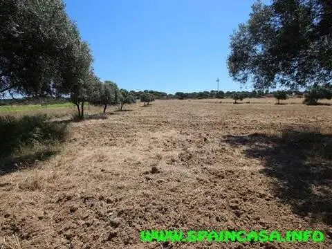 Terreno en Aljaraque