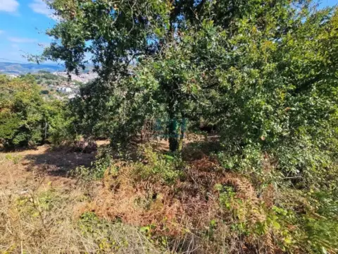 Terreno en Barbadás