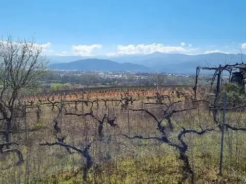 Terreno en calle Poligono 2 Parcela 593 Pedregal. Ponferrada (Leo,