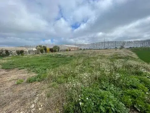 Terreno en Partida de la Figuera
