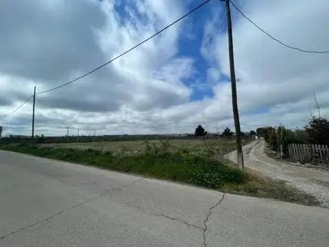Terreno en Partida de la Figuera