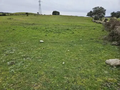 Terreno en Navas del Madroño