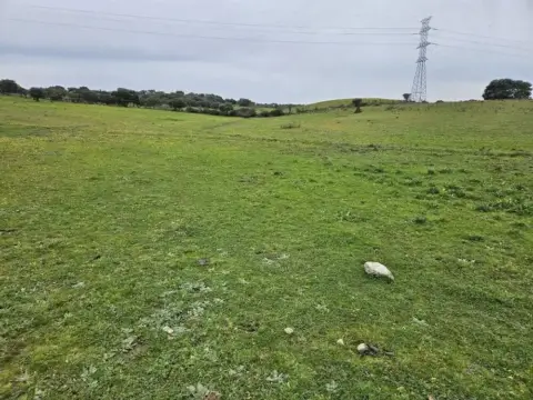 Terreno en Navas del Madroño