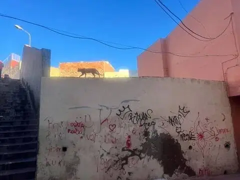 Terreno en Melilla
