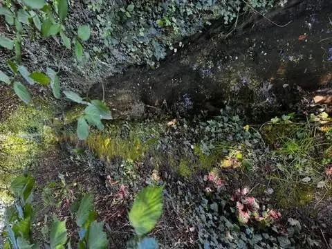 Terreno en Estella-Lizarra