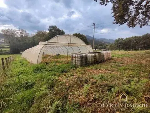 Terreno en Mercadillo