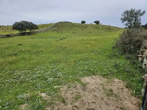 Terreno en Navas del Madroño