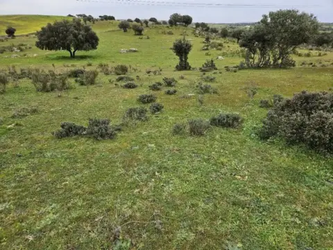 Terreno en Navas del Madroño