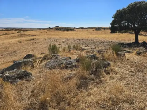 Terreno en Carretera Mata de Alcántara