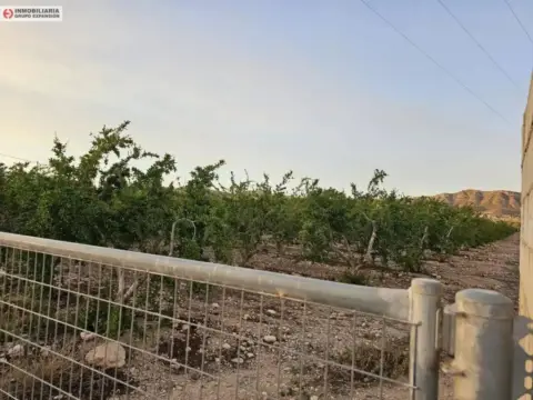Terreno en Aspe
