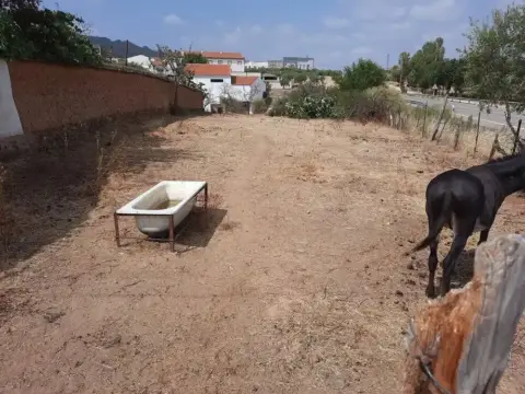Terreno en calle Hernán Cortés