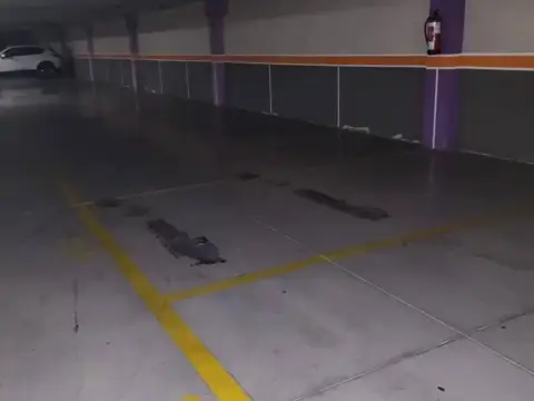 Garaje en calle del Doctor Layna Serrano