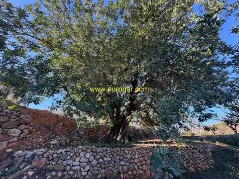 Terreno en Chiva