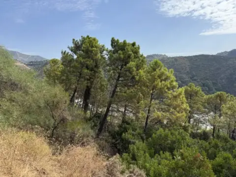 Terreno en Benahavís