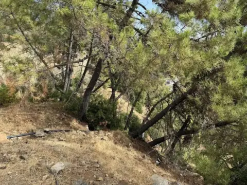 Terreno en Benahavís
