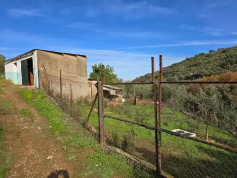 Terreno en calle San Luis