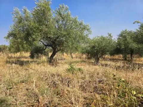 Terreno en Aliseda