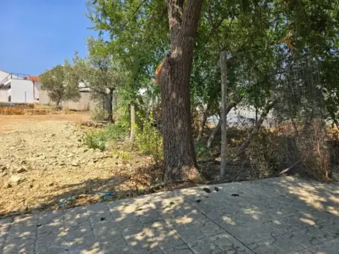 Terreno en Aliseda