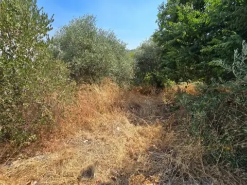 Terreno en Avenida Américas