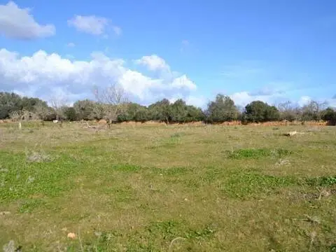 Casa rústica en Manacor