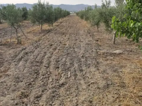 Terreno en calle Diseminado Purias, 863