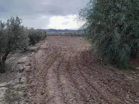 Terreno en calle Diseminado Purias, 863