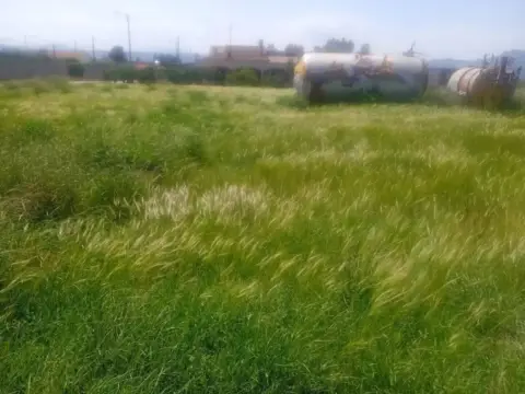 Terreno en La Hoya-Almendricos-Purias