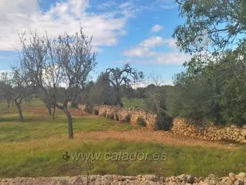 Terreno en Cala Ferrera