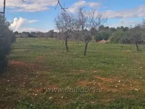 Terreno en Cala Ferrera
