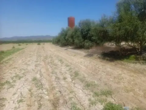 Terreno en calle Diseminado Purias, 863