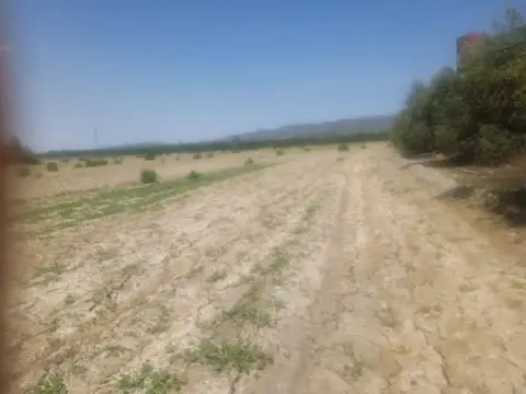 Terreno en calle Diseminado Purias, 863