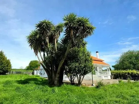 Chalet en Sada