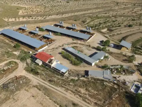 Terreno en calle de la Paca