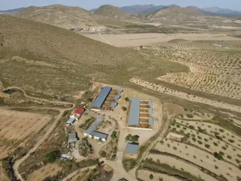 Terreno en calle de la Paca