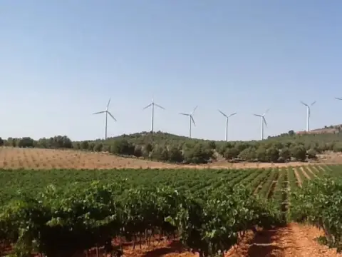 Terreno en Pozohondo