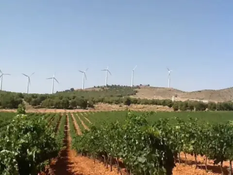 Terreno en Pozohondo